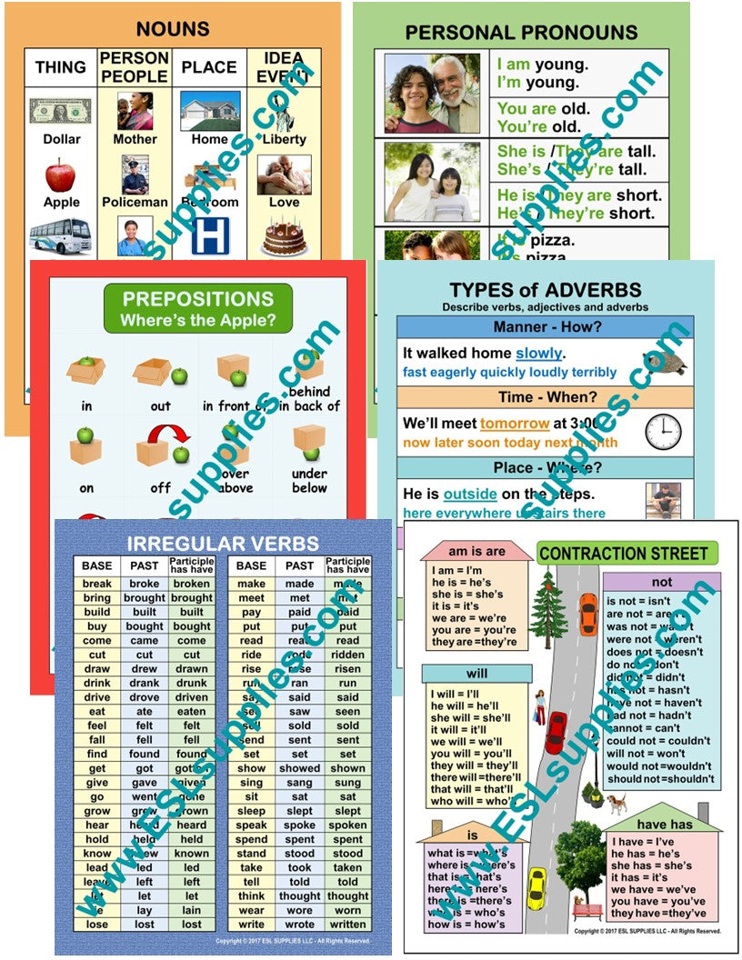 Teaching Systems: Grammar Module 1 - Nouns Pronoun [DVD](中古品) Nouns- ESL ELD English Language Grammar Classroom Poster Chart