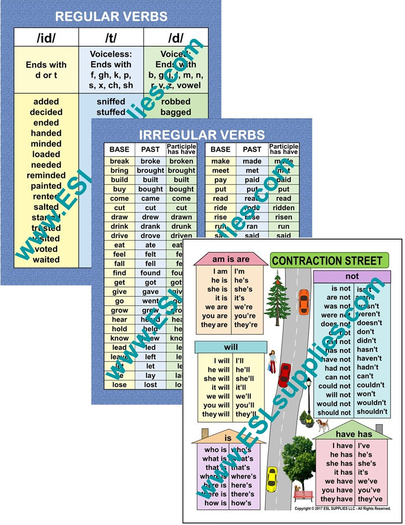 Contractions, Regular, Irregular Verbs ESL Classroom Poster