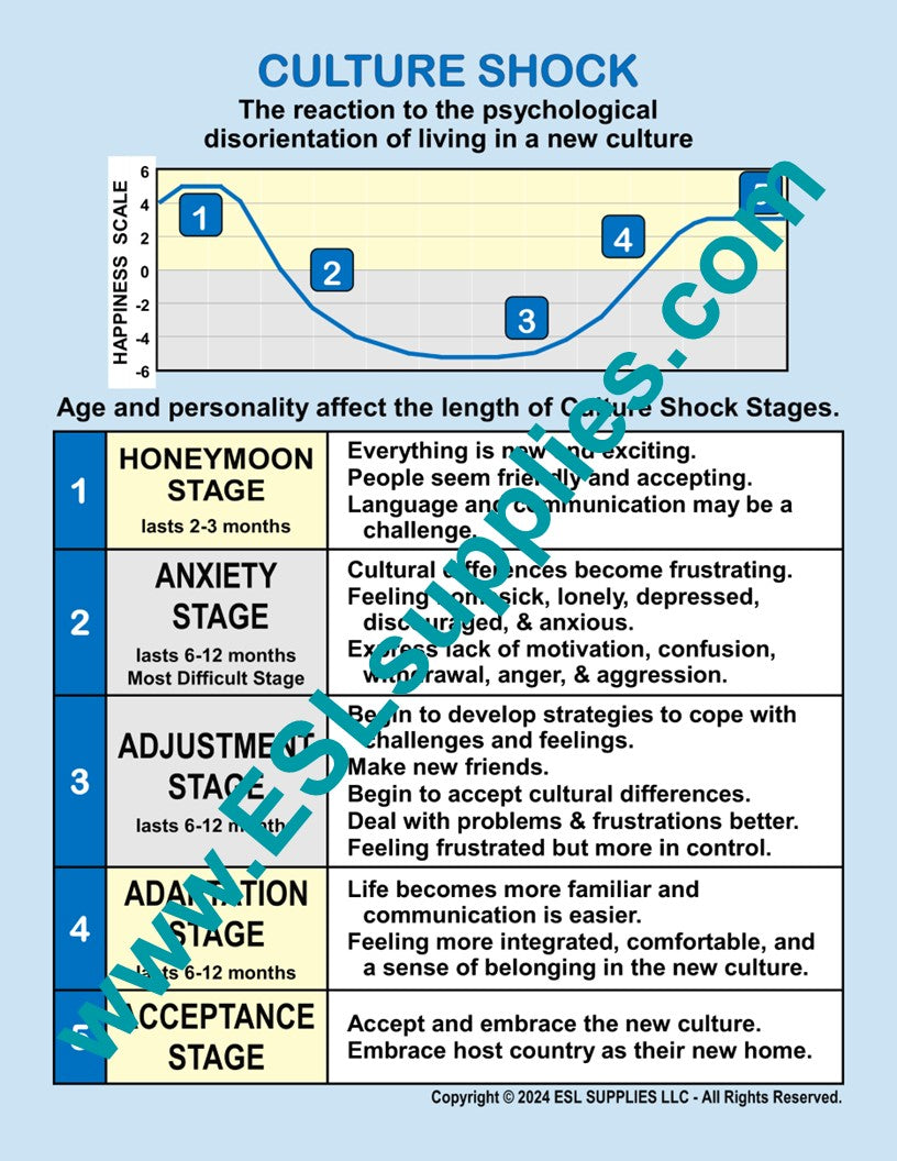 Culture Shock ESL English Classroom Poster Chart β ESL Supplies LLC