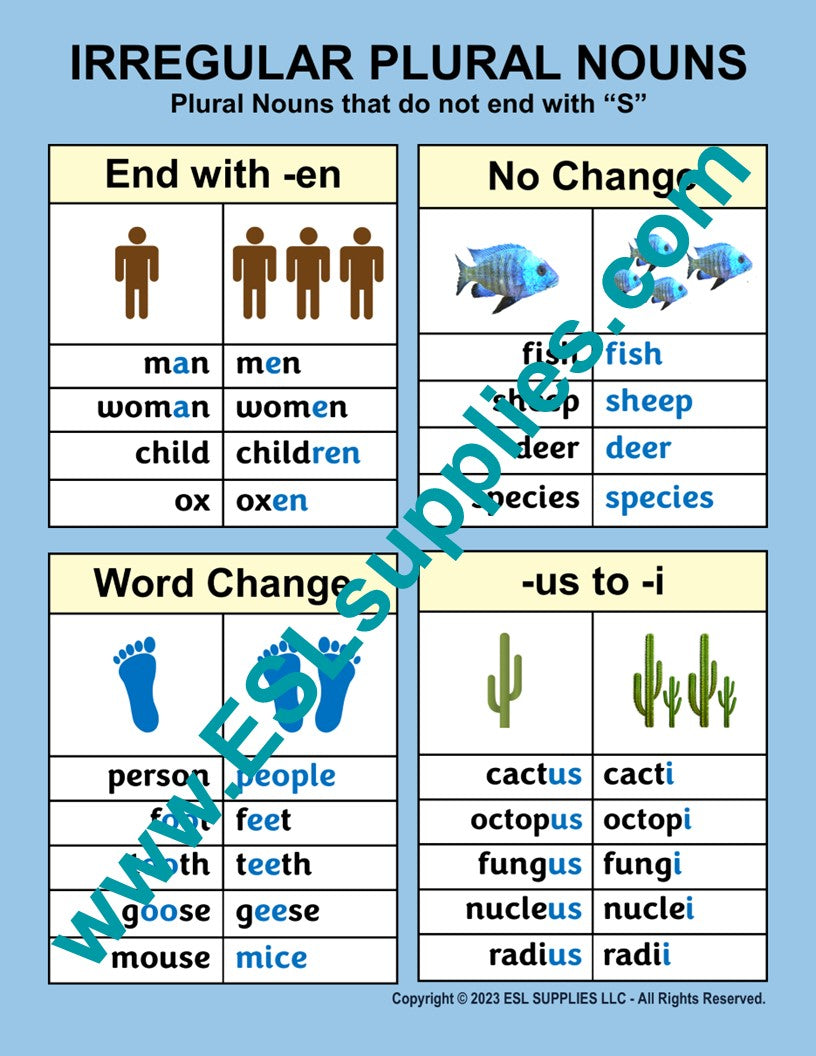 Irregular Plurals ESL Classroom Anchor Chart Poster