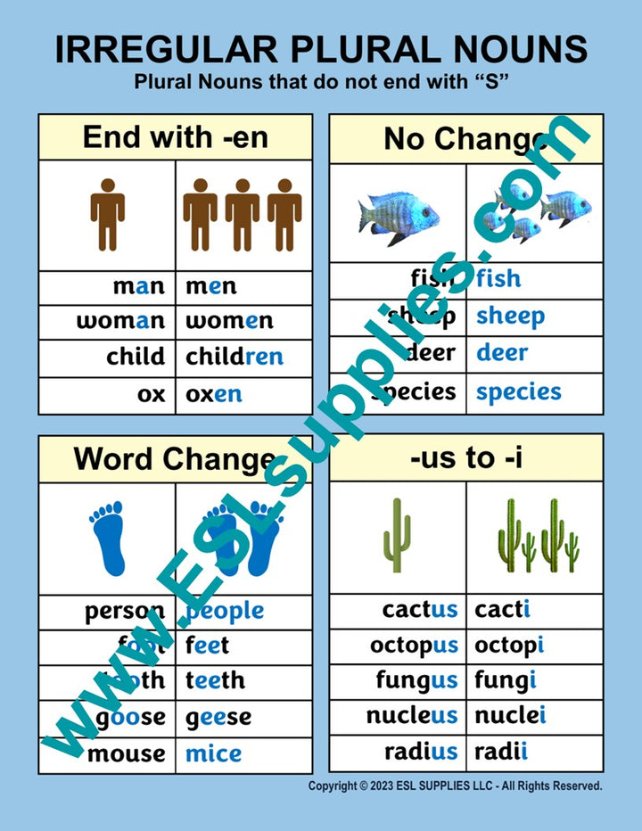 Irregular Plural Nouns  ESL English Grammar Classroom Poster Chart