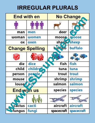 Irregular Plurals ESL Classroom Anchor Chart Poster