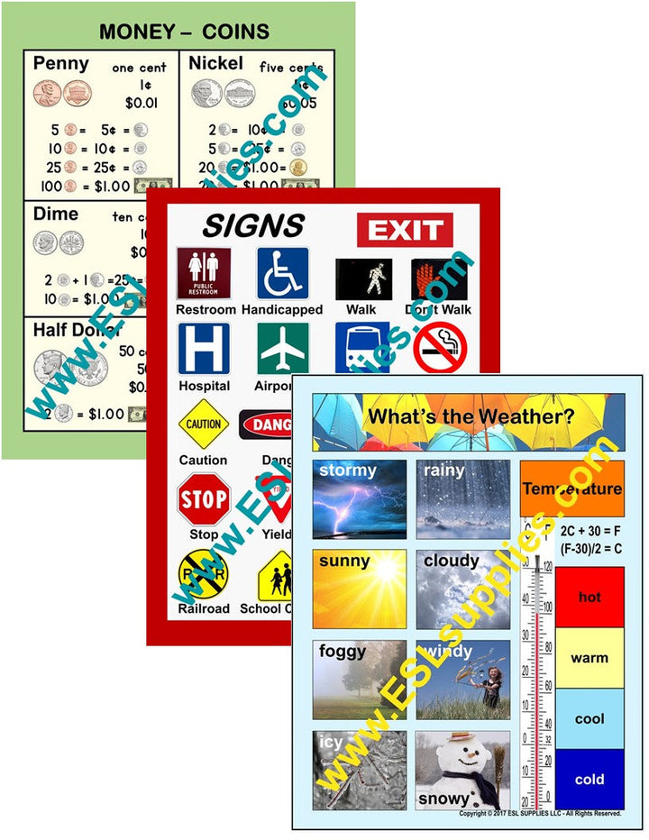 Money, Signs, Weather ESL Classroom Anchor Chart Poster