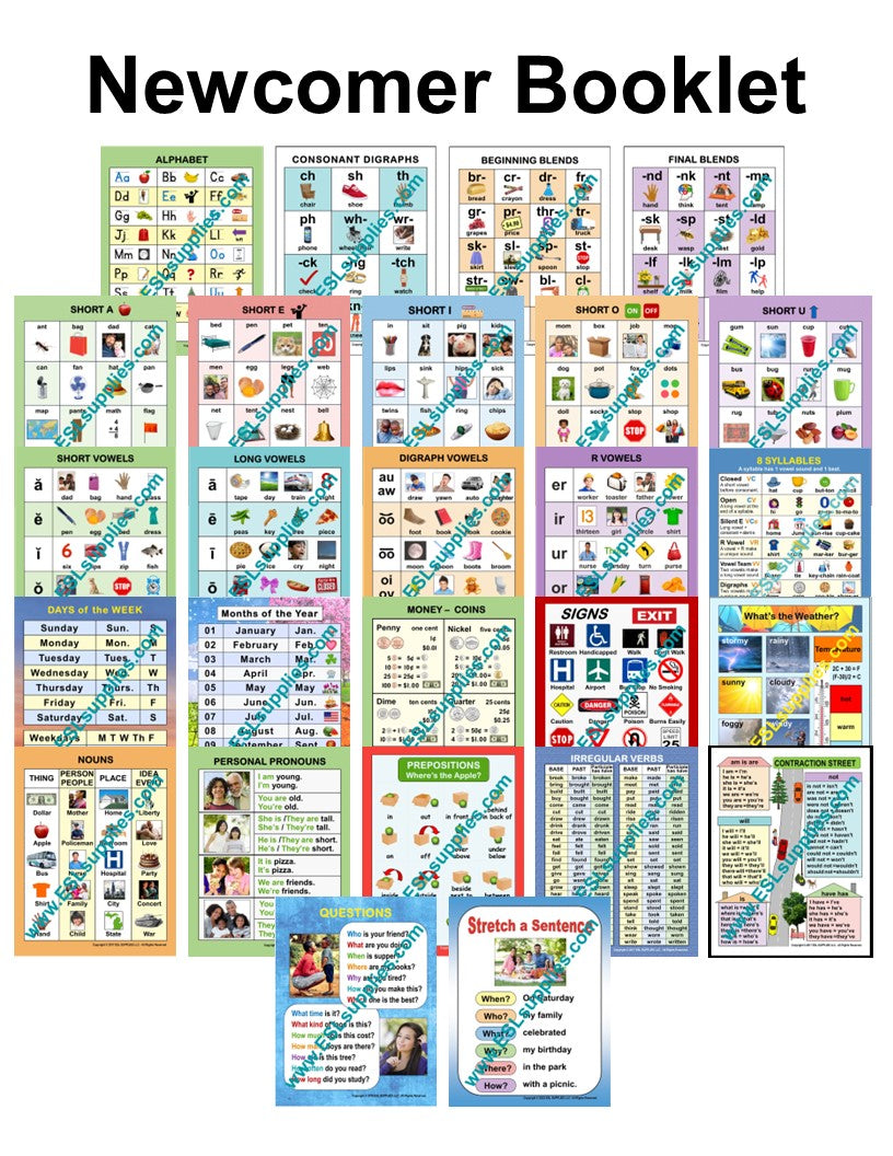 Newcomer Notebook ESL Classroom Anchor Charts Posters