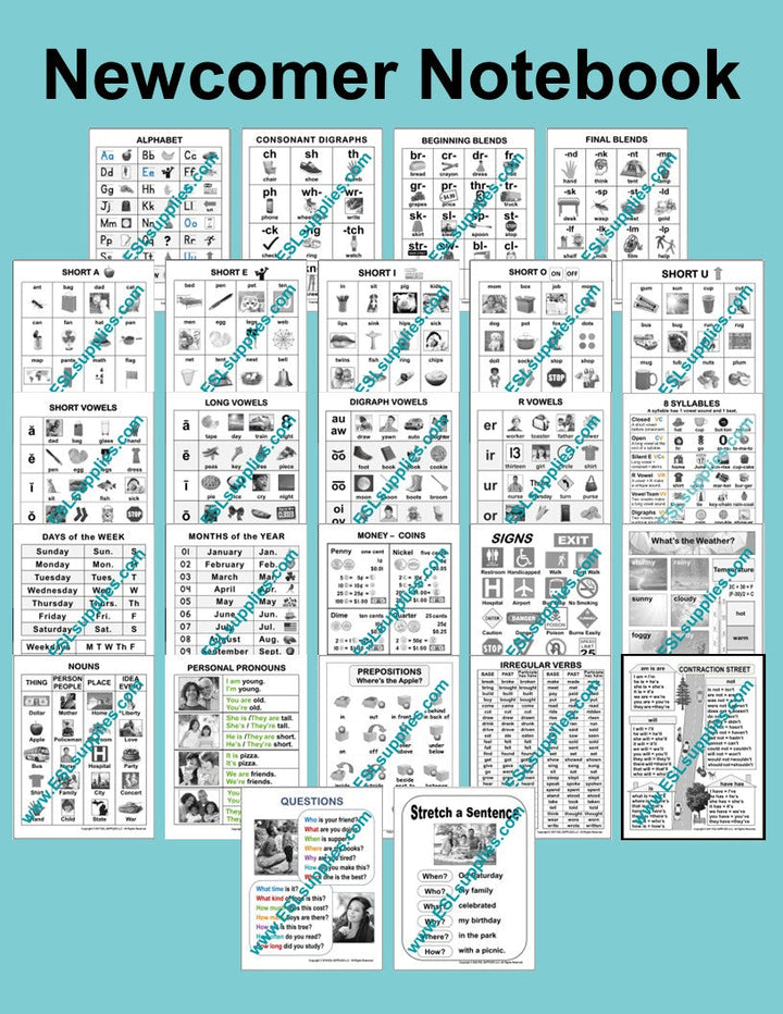 Newcomer Notebook ESL Classroom Anchor Charts Posters