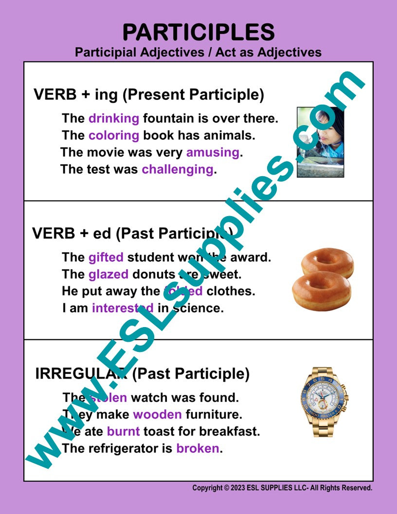 Participles ESL English Language Classroom Poster Charts