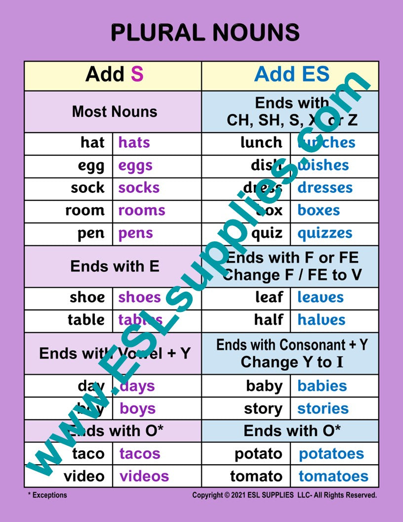 Plural Nouns ESL English Grammar Classroom Poster Chart
