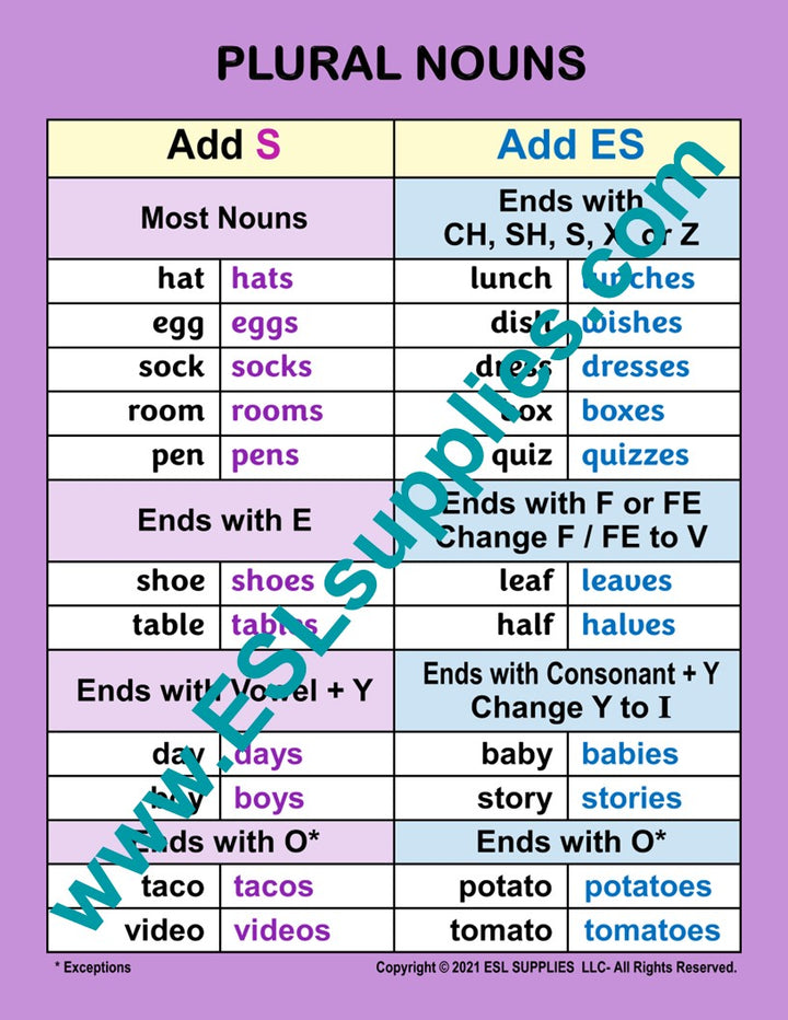 Plural Nouns ESL English Grammar Classroom Poster Chart