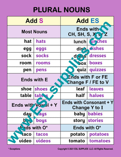 Plural Nouns ESL Classroom Anchor Chart Poster