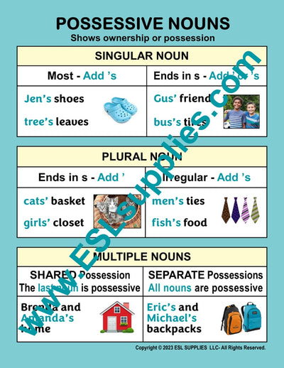Possessive Nouns ESL Classroom Anchor Chart Poster