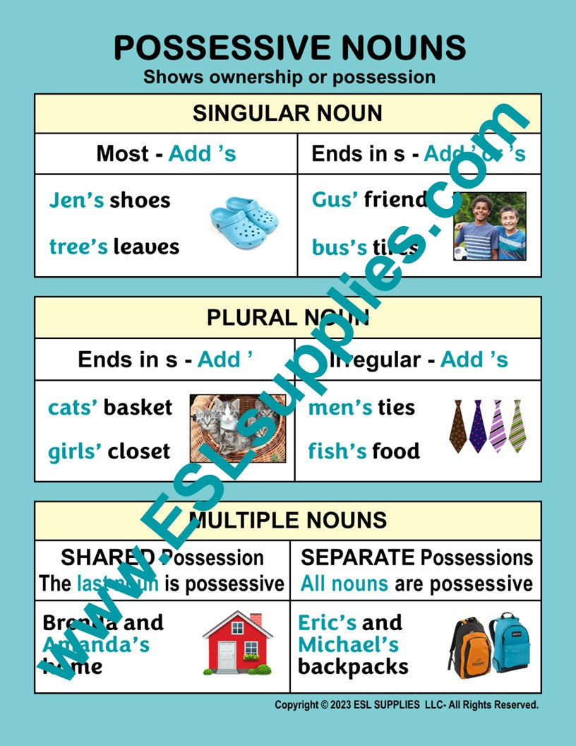 Possessive Nouns  ESL English Grammar Classroom Poster Chart