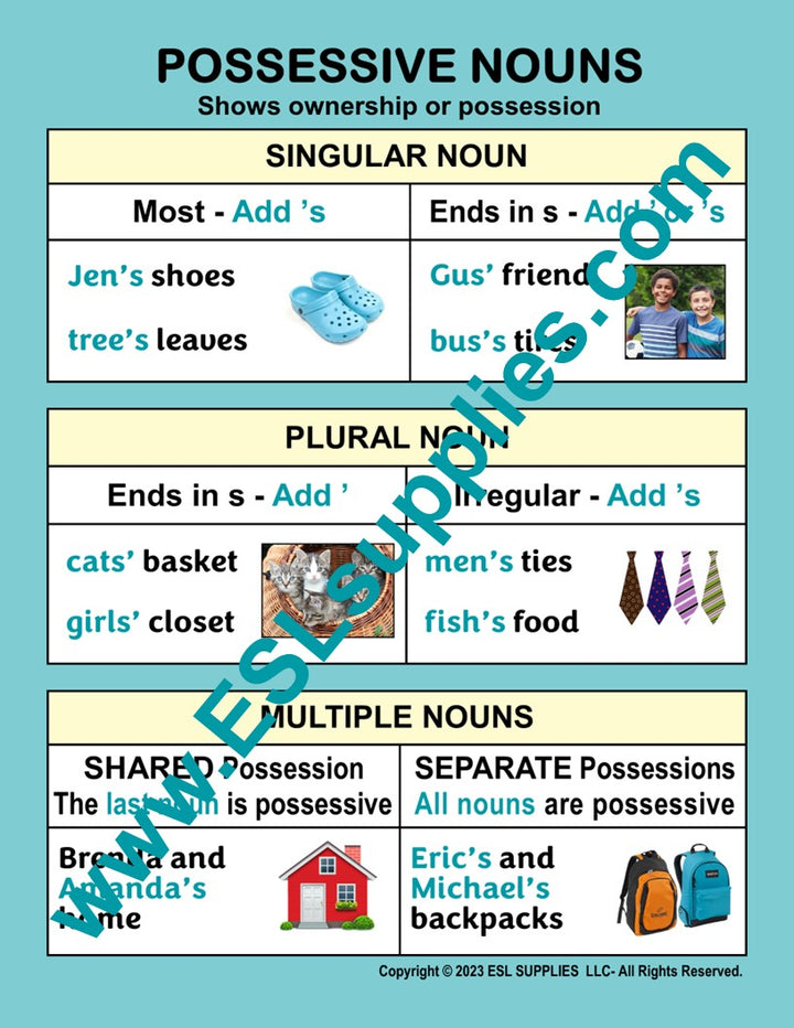 Possessive Nouns  ESL English Grammar Classroom Poster Chart