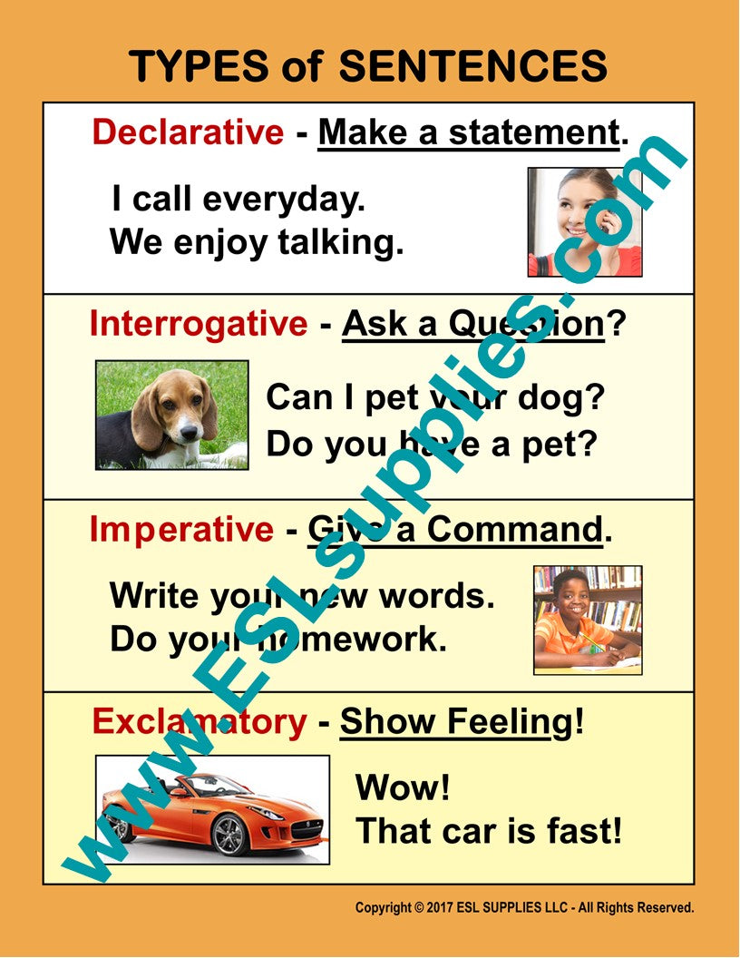 Types of Sentences ESL Classroom Anchor Chart Poster