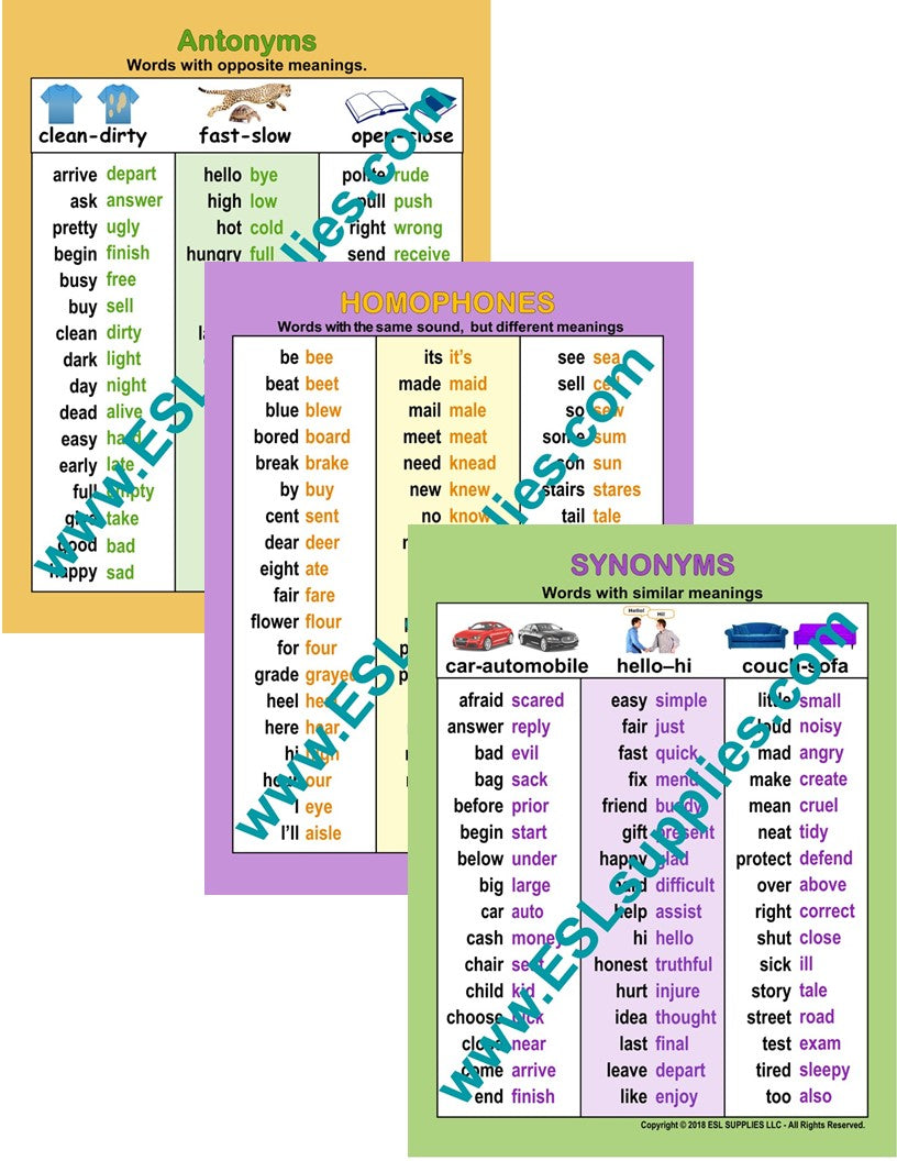 Antonyms, Homophones, Synonyms ESL English Educational Classroom Chart Poster Set