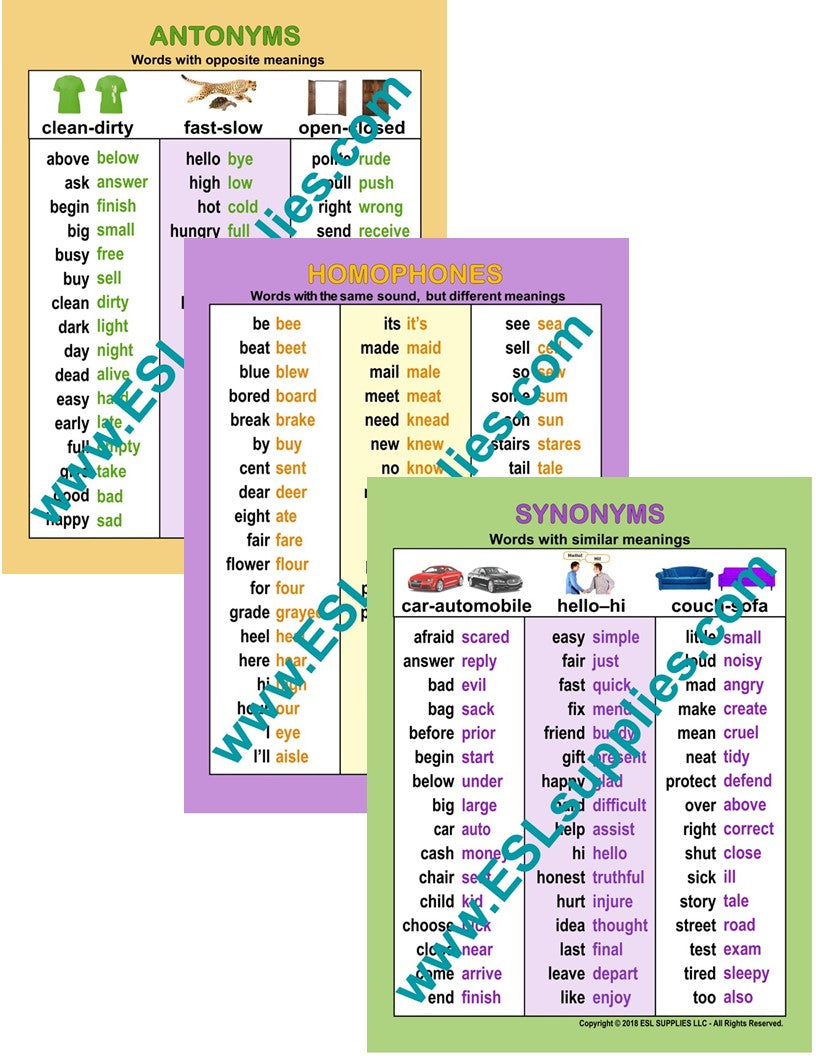 Antonyms, Homophones & Synonyms K12- ESL ELD English Classroom