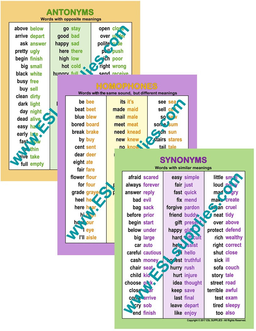 Antonyms, homophones, Synonyms ESL English Educational Classroom Chart Posters