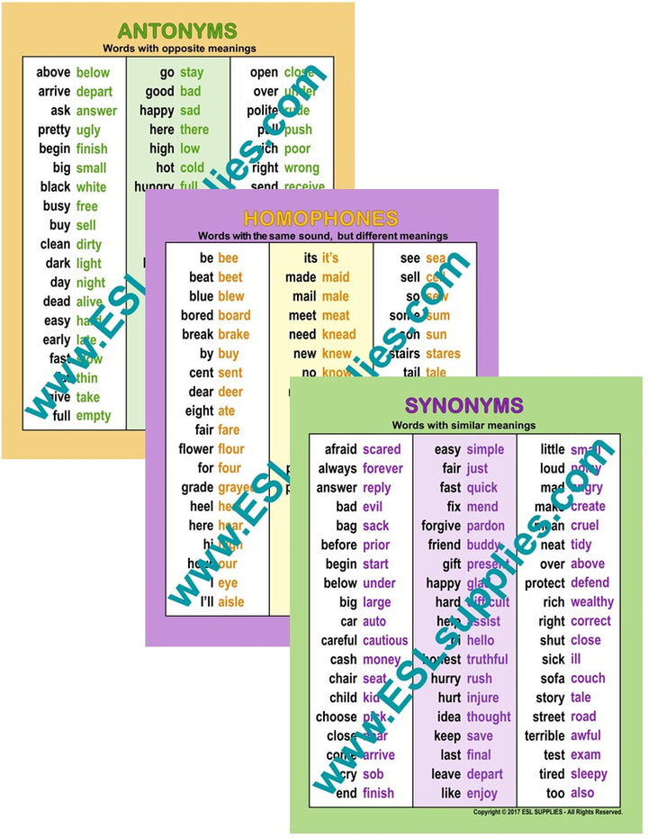 Antonyms, Homophones, Synonyms ESL English Educational Classroom Chart Posters