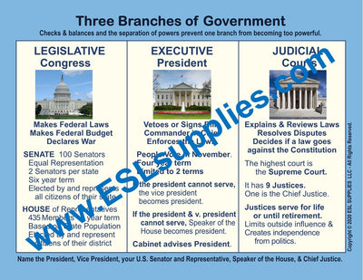 Branches of Government Citizenship Classroom Anchor Chart Poster