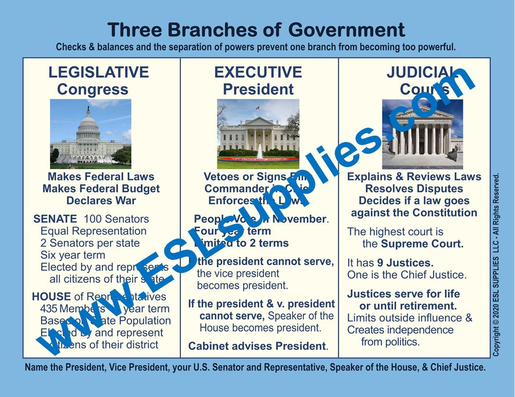 Three Branches of Government Citizenship Poater
