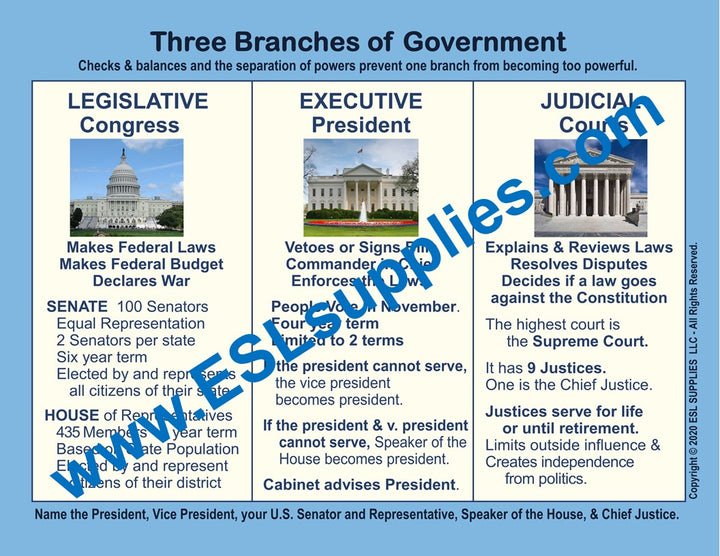 Three Branches of Government Citizenship Poater
