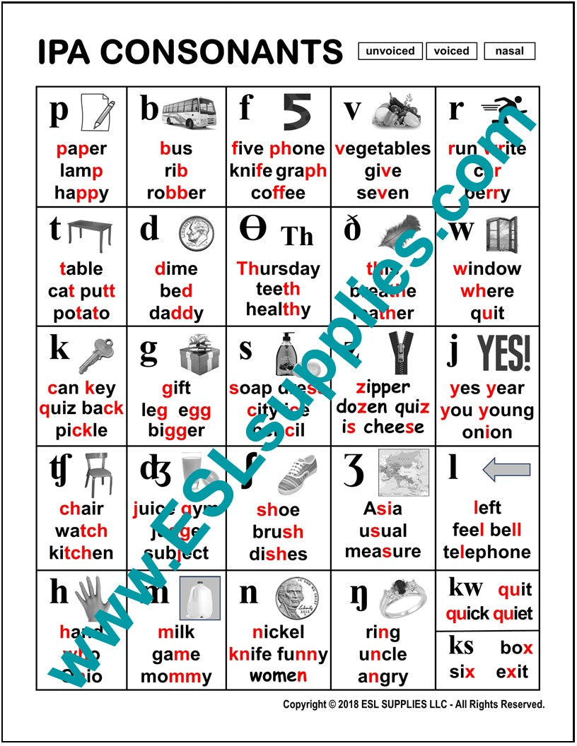 Consonants Ipa Esl Phonics Poster English Anchor Chart Literacy