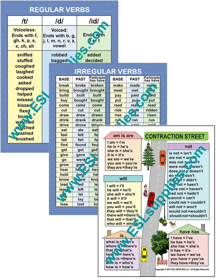 Contractions, Regular & Irregular Verbs ESL English Grammar Classroom  Chart Poster Set