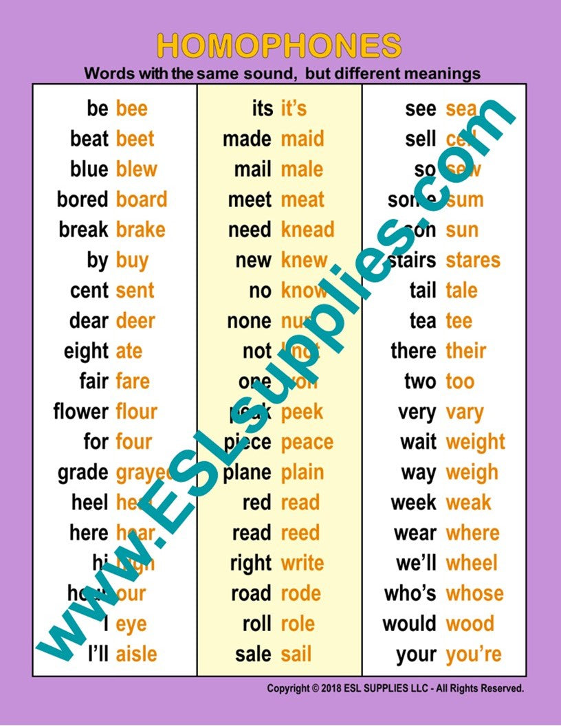 Homophones ESL English Educational Classroom Chart Poster