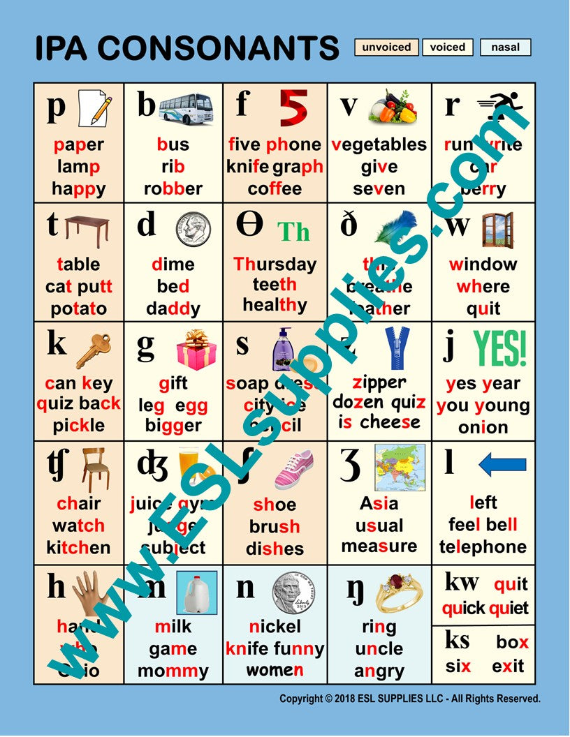 IPA Consonants ESL Classroom Anchor Chart Poster