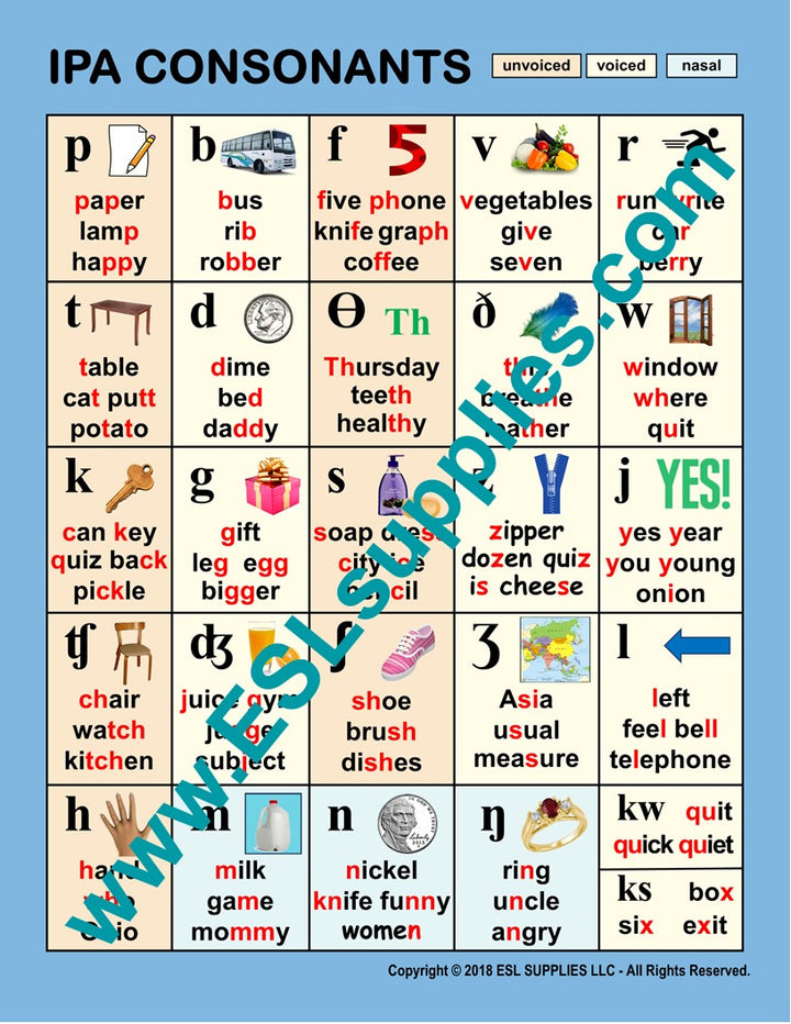 IPA Consonants ESL Classroom Anchor Chart Poster