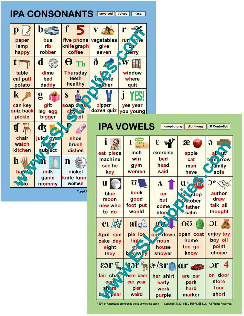 IPA Consonants & Vowels ESL Classroom Anchor Chart Poster Set