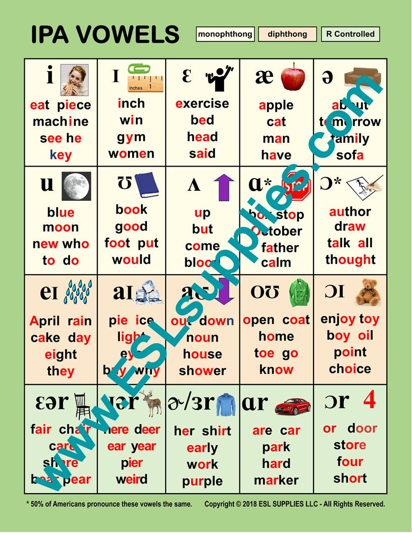 IPA Vowels ESL Classroom Anchor Chart  Poster