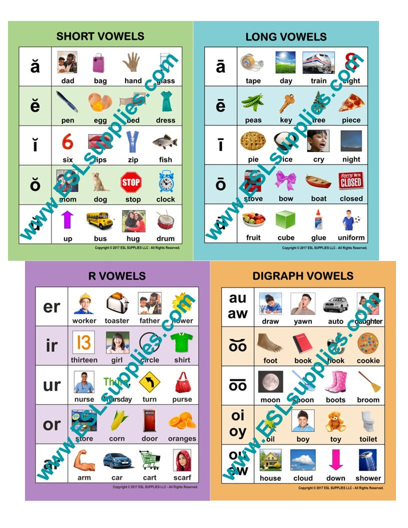Short, Long, R & Digraph Vowels ESL Classroom Anchor Chart Poster Set
