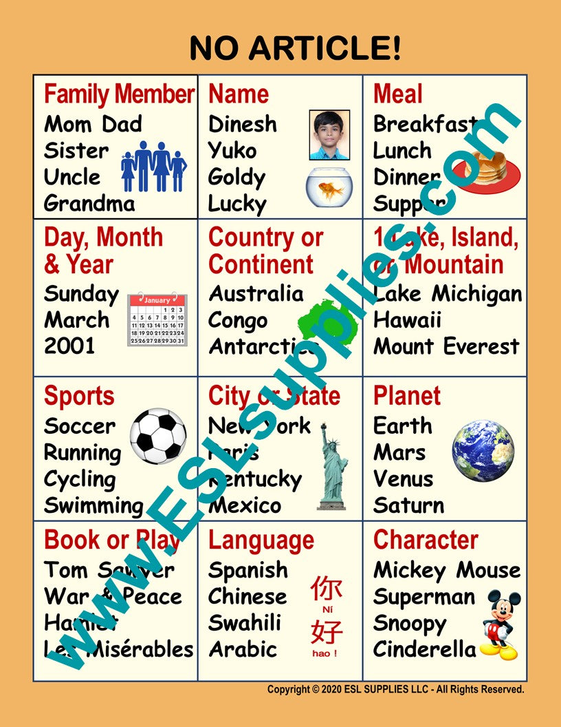 No Article! ESL Classroom Anchor Chart Poster