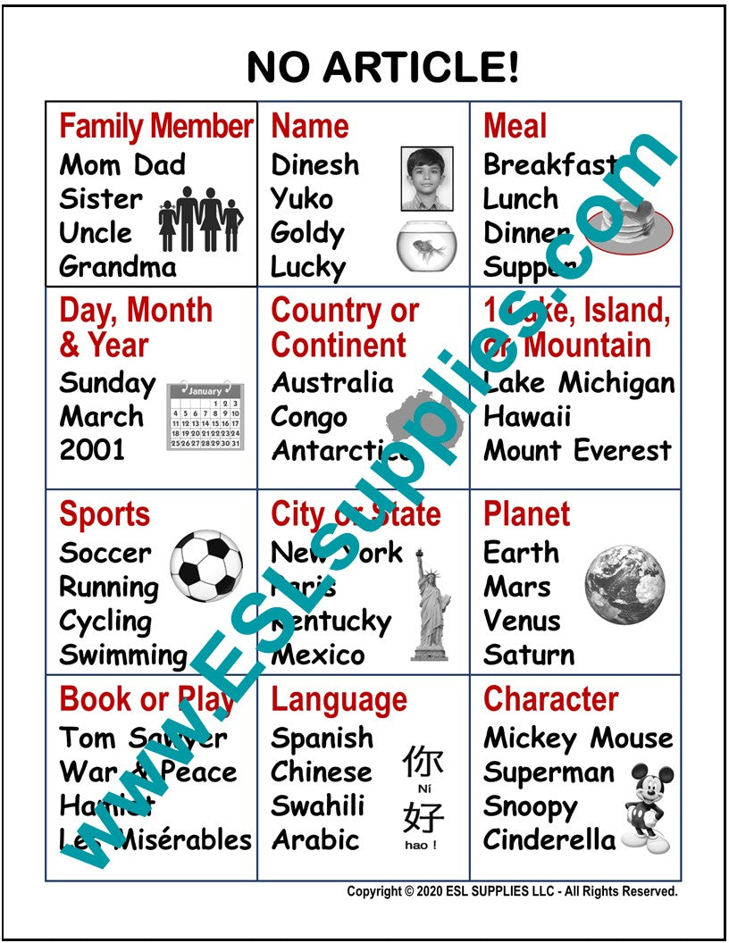 No Article!- ESL ELD English Language Grammar Classroom Poster Chart ...