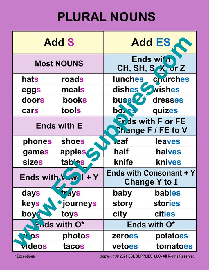 Plural Nouns ESL Classroom Anchor Chart  Poster