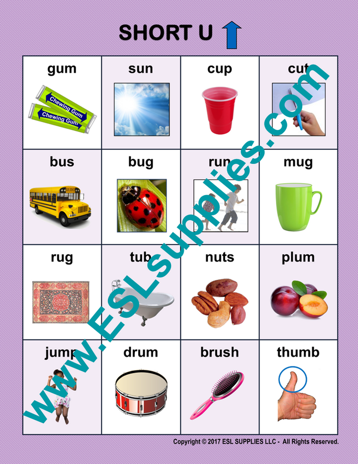 Short U ESL Classroom Anchor Chart Poster