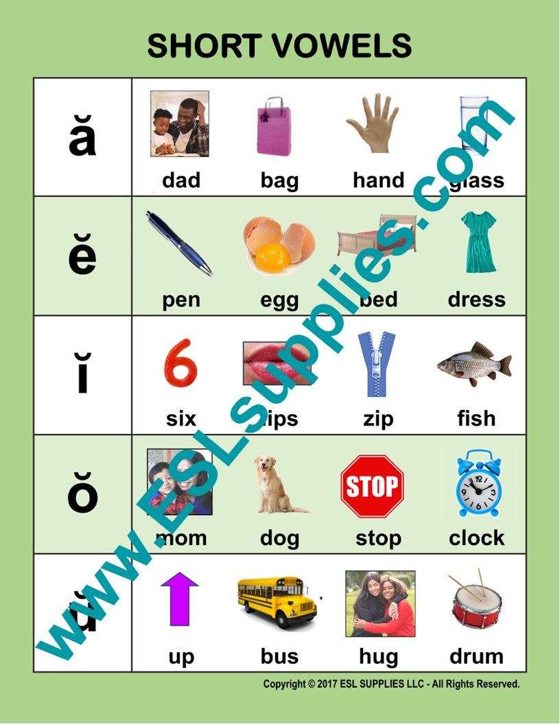 Vowel Set - ESL Poster, Classroom Anchor Chart – ESL Supplies