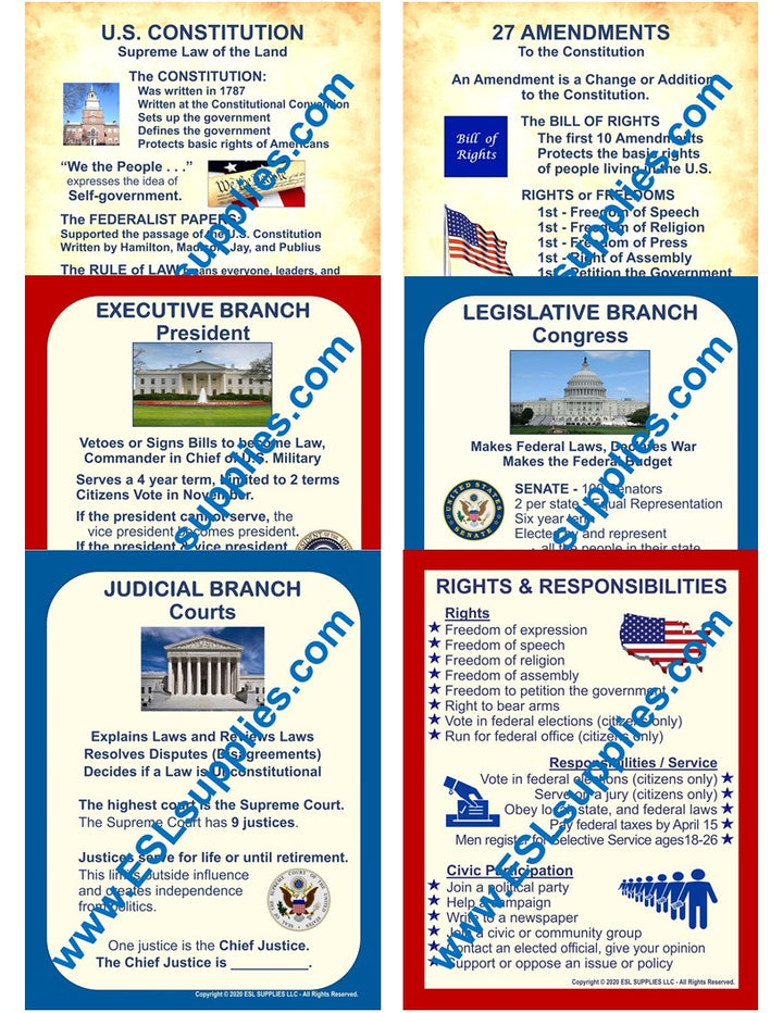 U.S. Government Citizenship Classroom Anchor Chart Poster Set